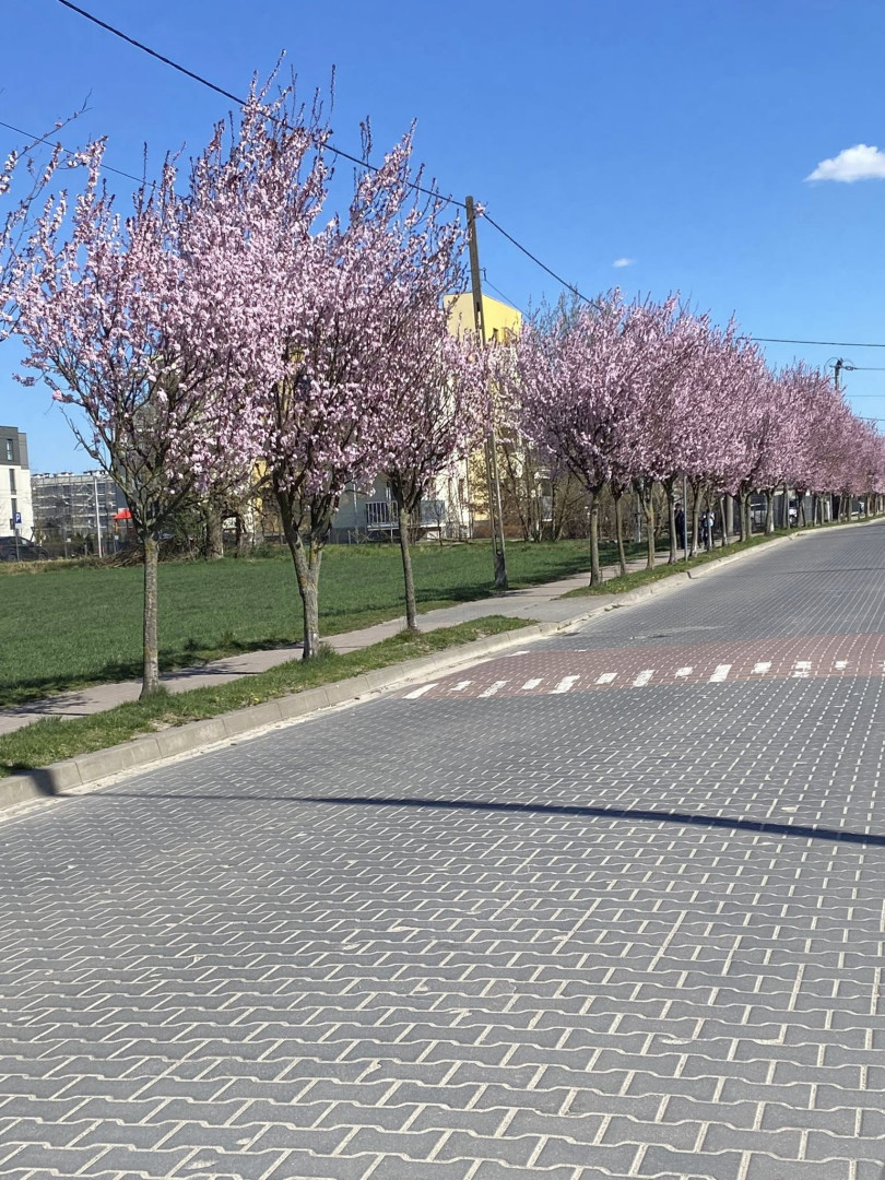 ul. Dmowskiego na początku kwietnia